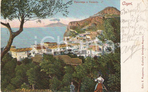 Cartolina originale da collezione 1906 CAPRI NA Coppia ammira il VESUVIO tra la boscaglia Cartolina FP VG 1