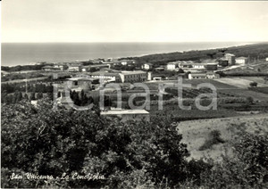 Cartolina originale da collezione 1950 ca SAN VINCENZO LI Panorama località LA CONCHIGLIA Cartolina 1