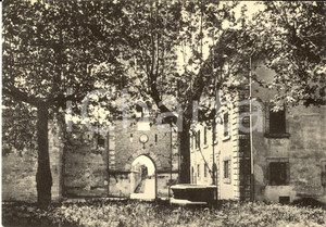 Cartolina originale da collezione 1950 BOLGHERI Castello FG VN 1