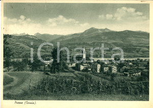 Cartolina originale da collezione 1938 PREONE UD Panorama del paese Cartolina FG VG 1