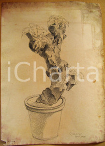 Opera d’arte autentica 1934 Giuseppe MARETTO Allegoria dell Italia DISEGNO AUTENTICO 1