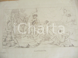 Stampa, bozzetto originale 1838 CARLO D ARCO Serpente LAOCOONTE Incisione BRAMATI 1