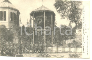 Cartolina originale da collezione 1907 PADOVA Giardino Botanico Palma GOETHE Cartolina Olga TEMPINI FP VG 1