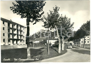 Cartolina originale da collezione 1965 CANELLI AT Circonvallazione est ANIMATA Cartolina postale FG NV 1
