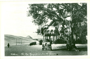 Cartolina originale da collezione 1940 ca SAKKARA La piramide a gradoni LEHNERT LANDROCK 1