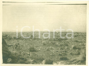 Fotografia d epoca originale 1917 FOGLIANO REDIPUGLIA GO WWI Resti accampamento Fanteria MONTE SEI BUSI 1