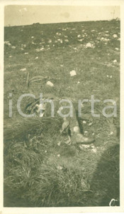 Fotografia d epoca originale 1917 FOGLIANO REDIPUGLIA GO WWI Soldati vittime delle bombe su altopiano FOTO 1