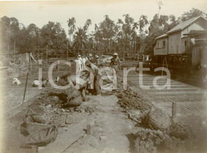 Fotografia d epoca originale 1925 ca BANGKOK THAILANDIA Indigeni al lavoro nelle nuove piantagioni FOTO 1