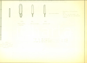 Documento originale, autentico 1954 CASLINO D ERBA Coltellerie Riunite CASLINO MANIAGO Lame da coltelli TAVOLA 1