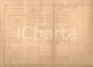 Oggetto da collezione cartaceo 1928 OSIMO AN Pagella Mario MONTICELLI Scuola di cittÃ   classe maschile 1
