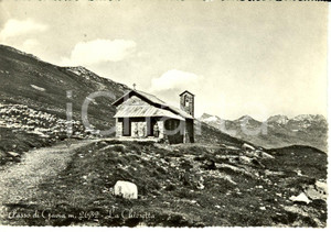 Cartolina originale da collezione 1960 PASSO DI GAVIA BS Veduta della Chiesetta Cartolina FG VG 1
