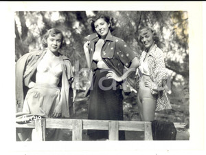 Fotografia d epoca originale 1965 ca USA  EROTICA VINTAGE Three women posing in a forest PHOTO 1