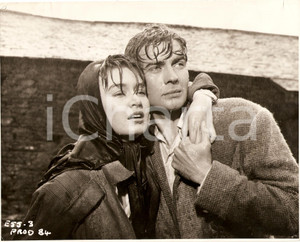 Fotografia d epoca originale 1956 NOW AND FOREVER Quando amore Ã¨ poesia Vernon GRAY Janette SCOTT Foto scena 1