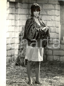 Fotografia d epoca originale 1962 LA SMANIA ADDOSSO Annette STROYBERG in sottoveste Fotografia di scena 1