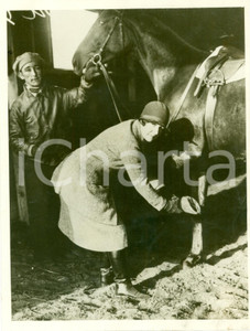 Fotografia d epoca originale 1930 ca NEW YORK USA Madeline H. WEST esamina cavalli nelle scuderie FOTO 1