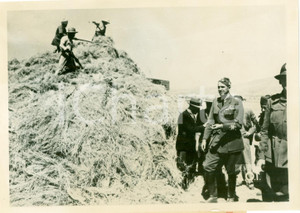 Fotografia d epoca originale 1938 ETIOPIA Amedeo Duca d AOSTA raccolta grano Impero Fotografia 1