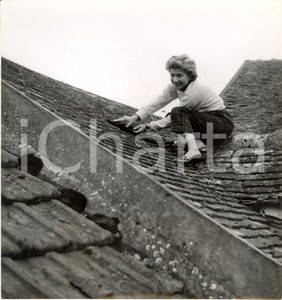 Fotografia d epoca originale 1950 ca CINEMA Nicole STEPHANE ripara tegole del tetto della casa di campagna 1