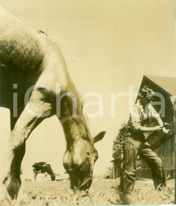 Fotografia d epoca originale 1944 WWII CONNECTICUT USA Veterano Malcolm STANNARD al lavoro nei campi Foto 1