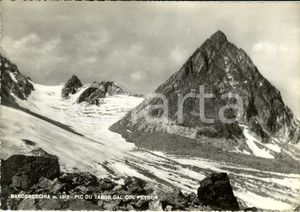 Cartolina originale da collezione 1948 BARDONECCHIA TO Le PIC du TABOR dal COL du PEYRON Cartolina FG VG 1