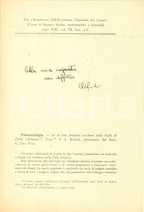 Libro, pubblicazione d epoca 1947 Alfredo RIEDEL Paleontologia Faunetta cassiana VALLE DI ZOLDO Autografo 1