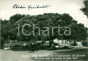 Autografo originale 1935 ca CAPRERA Clelia GARIBALDI sotto il pino che porta il suo nome AUTOGRAFO 1