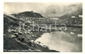 Cartolina originale da collezione 1949 VAL GERMANASCA TO Pecore pascolano Altopiano TREDICI LAGHI Cartolina FP 1
