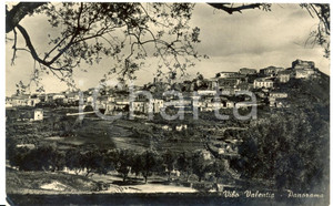 Cartolina originale da collezione 1950 ca VIBO VALENTIA Veduta panoramica Cartolina postale FP VG 1