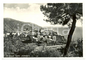Cartolina originale da collezione 1955 ca VERNAZZA SP Panorama di CORNIGLIA CINQUE TERRE Cartolina FG NV 1