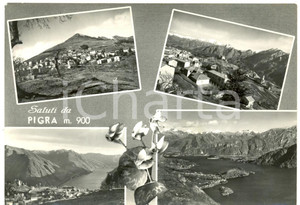 Cartolina originale da collezione 1950 ca PIGRA CO Vedutine con panorama del lago Cartolina postale FG VG 1