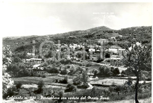 Cartolina originale da collezione 1966 CALDIROLA AL Panorama con monte PANA    Cartolina FG VG 1