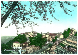 Cartolina originale da collezione 1952 CADEPIAGGIO AL Panorama con localitÃ  CARLONA Cartolina postale FG VG 1