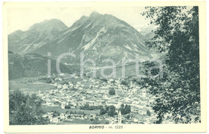 Cartolina originale da collezione 1930 ca BORMIO SO Veduta panoramica generale Cartolina postale FP VG 1