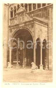 Cartolina originale da collezione 1920 ca TRENTO Particolare del DUOMO  Pronao  Cartolina postale FP NV 1