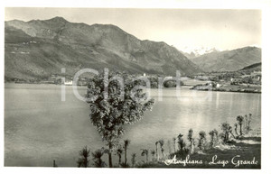 Cartolina originale da collezione 1951 AVIGLIANA TO Veduta panoramica sul lago GRANDE Cartolina postale  FP VG 1