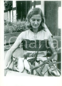 Fotografia d epoca originale 1990 ca ALSACE FRANCE Donna alla raccolta delle pannocchie Fotografia 1