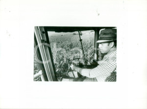 Fotografia d epoca originale 1992 OTTMARSHEIM FRANCE Coltivatore al lavoro in campo di mais Foto artistica 1