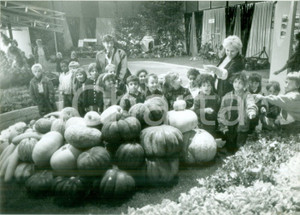 Fotografia d epoca originale 1990 ca MULHOUSE F Scolaresca osserva zucche alle JournÃ©es d Octobre Foto 1