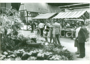 Fotografia d epoca originale 1982 MULHOUSE F Mercatino dei funghi alle JournÃ©es d Octobre Fotografia 1