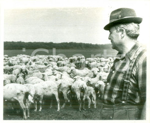Fotografia d epoca originale 1980 DIETWILLER FRANCE Pastori Daniel GROSSHAAS con il suo gregge Fotografia 1