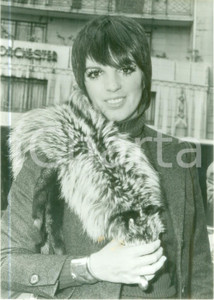 Fotografia d epoca originale 1977 GERMANIA Liza MINNELLI in All You Need is Love Fotografia 1