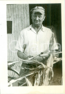 Fotografia d epoca originale 1983 BOSSENDORF FRANCE Contadino mostra le sue pannocchie Fotografia 1