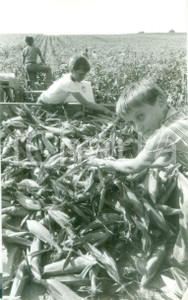 Fotografia d epoca originale 1980 BOSSENDORF FRANCE Bambini nei campi per raccolta del mais Fotografia 1