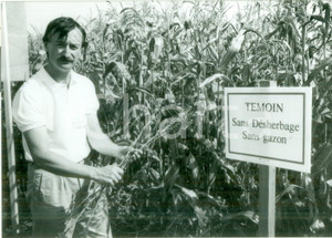 Fotografia d epoca originale 1990 BOSSENDORF FRANCE Contadino coltiva mais senza diserbanti Fotografia 1