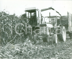 Fotografia d epoca originale 1981 BOSSENDORF FRANCE Raccolta mais con trattore FORD Fotografia 1