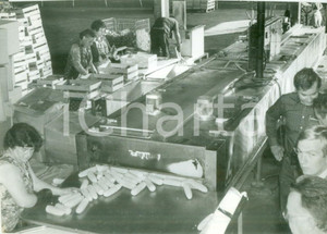 Fotografia d epoca originale 1980 ca FRANCE Operaie ai macchinari di divisione pannocchie Fotografia 1