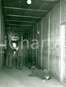 Fotografia d epoca originale 1940 ca ristampa 1950 DACHAU CAMPO CONCENTRAMENTO Prigionieri al suolo ZALEWSKI 1