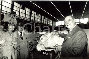 Fotografia d epoca originale 1988 PARIS Raymond BARRE candidato Presidenziali visita Salone dell Agricoltura 1