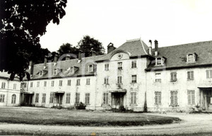 Fotografia d epoca originale 1985 ca HUSSERENWESSERLING F Scorcio del castello nel celebre parco Foto 1