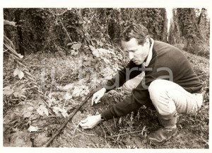 Fotografia d epoca originale 1994 SESSENHEIM FR RenÃ© DILLMANN montre systeme irrigation pour Houblon Photo 1