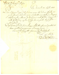 Documento originale, autentico 1838 TRINO VC Luigi FESTA spera che il brusone non rovini il riso Lettera 1